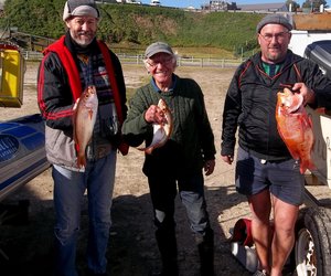 Die opwinding van hengel